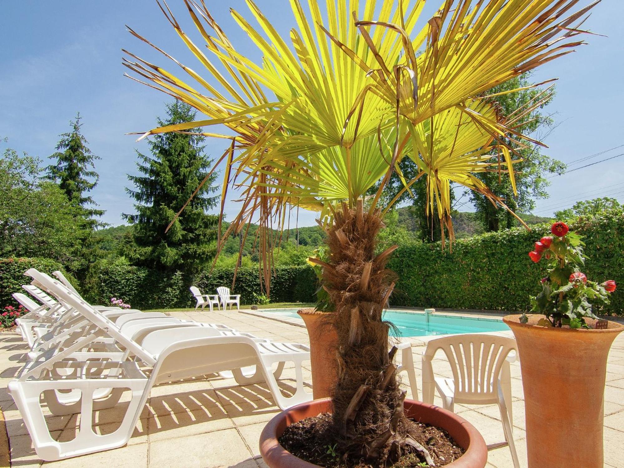 Appealing Apartment In Vezac With Swimming Pool Бенак-е-Казнак Екстер'єр фото